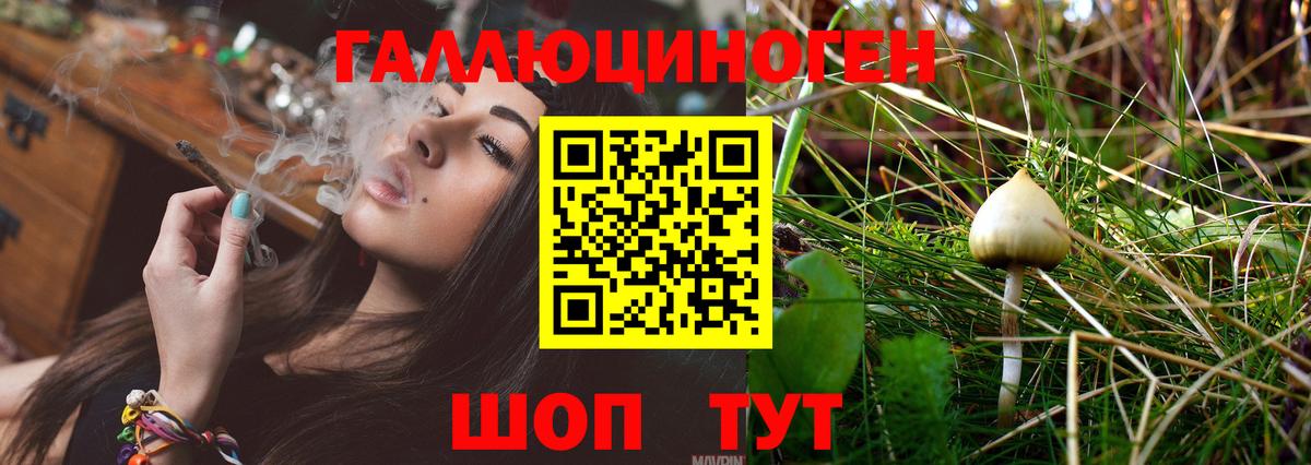 Качканар  Галлюциногенные грибы мухоморы  Вход с VPN  Псилоцибиновые грибы Cubensis 